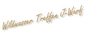 Wildwasser Treffen J-Wurf