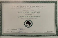 Junghundeprüfung Jasco